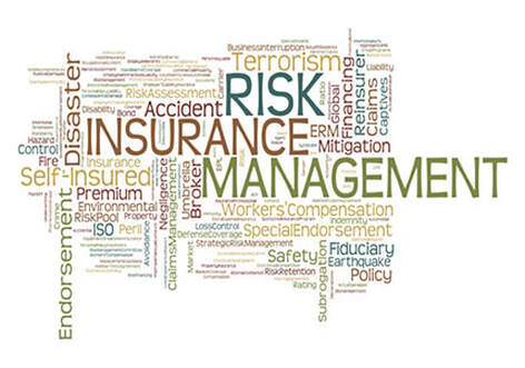 Risk Insurance Management 